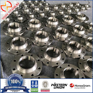 GR7 Titanium Mechanical Flange